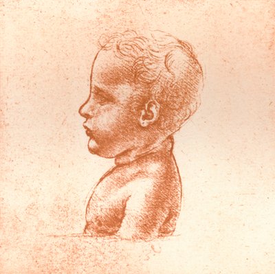 少年の胸像、c1472-c1519 1883 作： Leonardo da Vinci