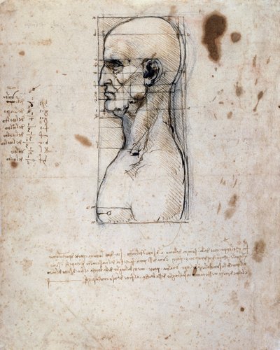 横顔の男性の胸像、測定値とメモ（リネン紙にセピアインク 作： Leonardo da Vinci