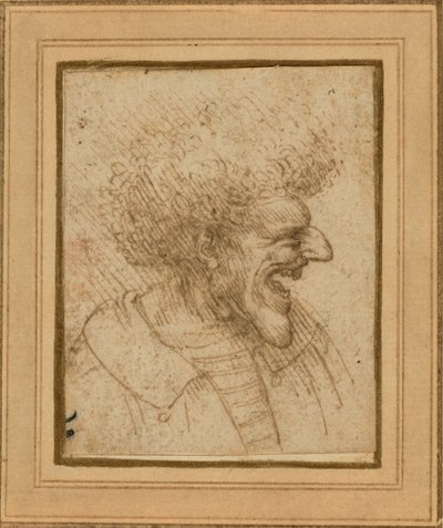 ふさふさ髪の男の風刺画 作： Leonardo da Vinci