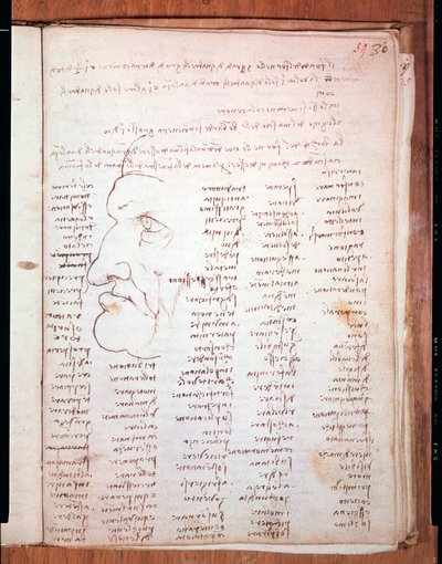 レオナルド・ダ・ヴィンチ（Leonardo da Vinci）（1452 - 1519）のトリヴルツィアーノ写本 - ミラノのトリヴルツィアーナ図書館 作： Leonardo da Vinci