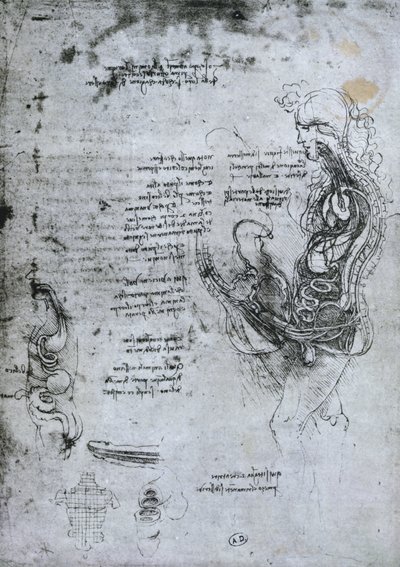 半身男と女の連合、ファクシミリコピー 作： Leonardo da Vinci