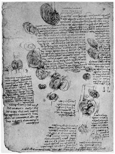 1954年後期または16世紀初頭の心臓における血液の渦の図 作： Leonardo da Vinci
