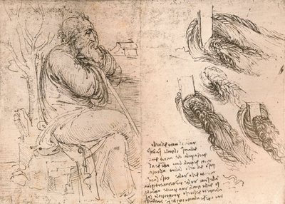 カールで落ちる髪の描写を示す図、c1472-c1519 1883 作： Leonardo da Vinci