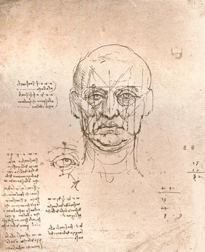 人物の比率の理論を説明する図、c1472-c1519 1883 作： Leonardo da Vinci