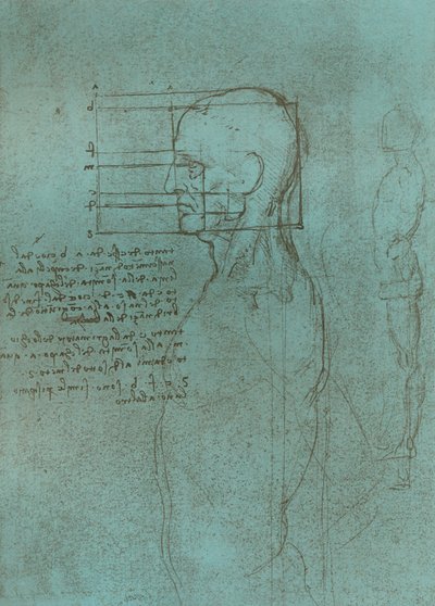 人物の比率の理論を説明する図、c1472-c1519 1883。 作： Leonardo da Vinci