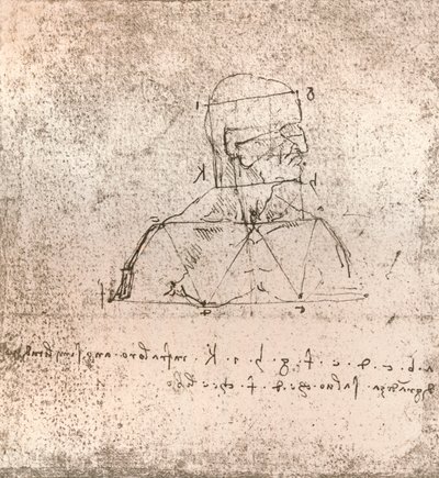 人物の比率の理論を説明する図、c1472-c1519 1883 作： Leonardo da Vinci