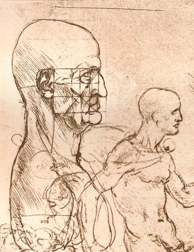 人物の比率の理論を説明する図、c1472-c1519 1883 作： Leonardo da Vinci