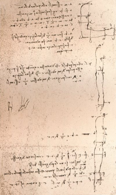 人物の比率の理論を説明する図、c1472-c1519 1883 作： Leonardo da Vinci