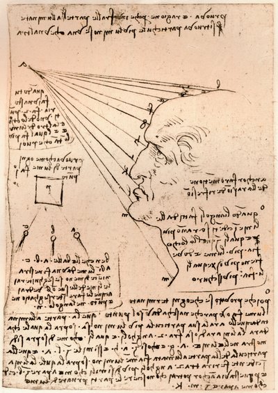 絵の練習を描いた男性の頭の絵、c1472-c1519 1883 作： Leonardo da Vinci