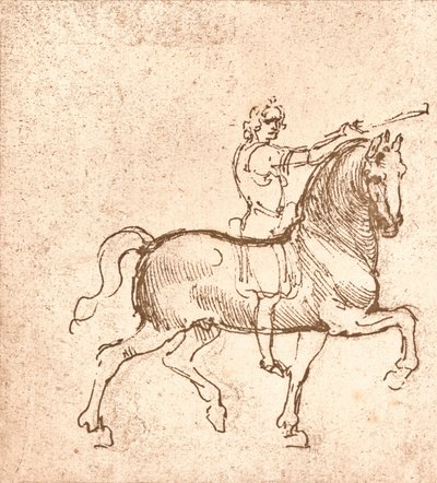 歩く馬の絵、c1472-c1519 1883 作： Leonardo da Vinci