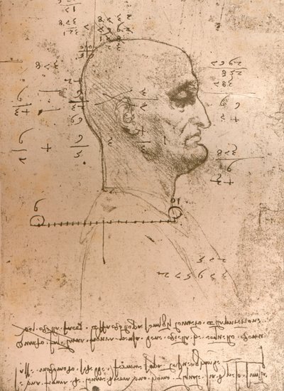 犯罪者の頭の絵、c1472-c1519 1883 作： Leonardo da Vinci
