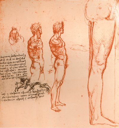 人物の動きと戦う戦士を示す図、c1472-c1519 1883 作： Leonardo da Vinci
