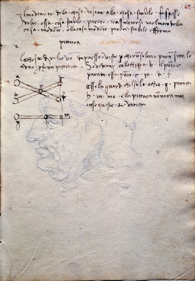 Codex Trivulzianus の絵画集からの抜粋 作： Leonardo da Vinci