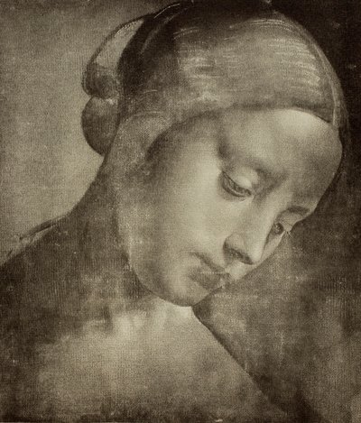 レオナルド・ダ・ヴィンチが描いた女性の頭部。ウフィッツィ美術館（フィレンツェ）のドローイングとプリントのキャビネット 作： Leonardo da Vinci
