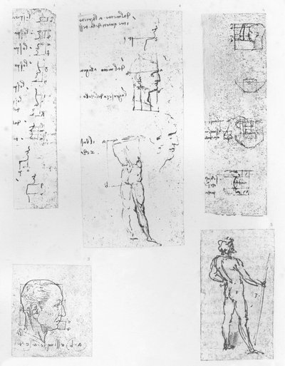 人物の比率の理論を説明する5つの図、c1472-c1519 1883 作： Leonardo da Vinci