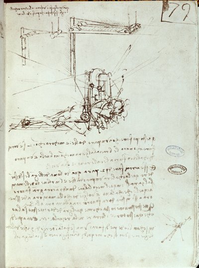 空飛ぶ機械の絵。レオナルド・デ・ヴィンチの手稿（レオナルド・ダ・ヴィンチ 作： Leonardo da Vinci
