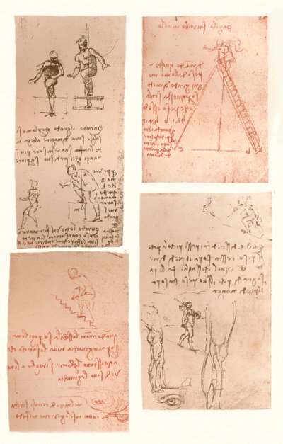 人物の動きの理論を説明する4つの図、c1472-c1519 1883 作： Leonardo da Vinci