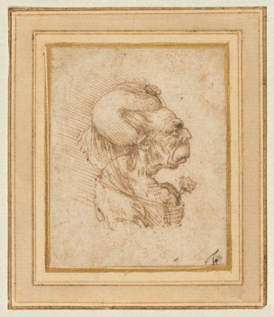 老女のグロテスクな頭部 作： Leonardo da Vinci