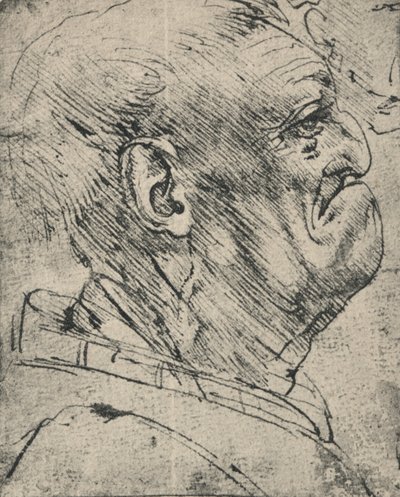 右の男のグロテスクなプロフィール、c1480 1945 作： Leonardo da Vinci