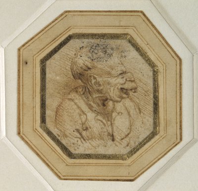 グロテスクな頭部（紙にペンとインク 作： Leonardo da Vinci