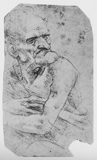 あごが目立つ老人の半身戯画、c1480 1945 作： Leonardo da Vinci