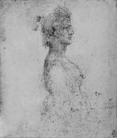 右側が横長の若い女性の半分の長さ、c1480 1945 作： Leonardo da Vinci