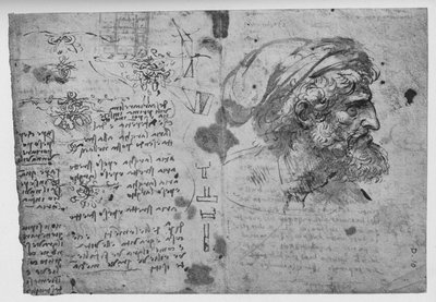 ひげを生やした男の頭と肩、c1480 1945 作： Leonardo da Vinci