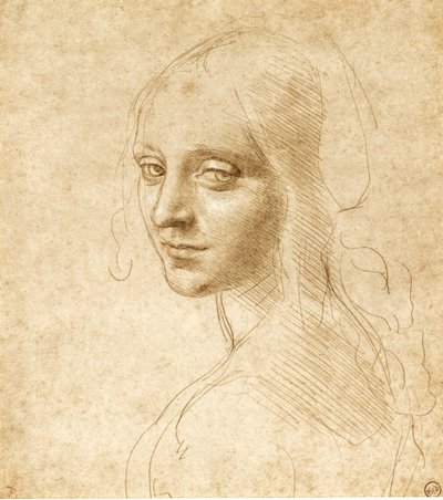 女の子の頭と肩c。 1490。 作： Leonardo da Vinci