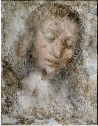 贖罪のキリストの頭 - 図面 作： Leonardo da Vinci