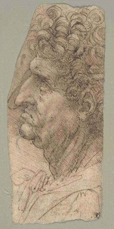  作： Leonardo da Vinci