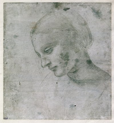 若い女性の頭または聖母の頭、c.1490（紙にシルバーポイント） 作： Leonardo da Vinci