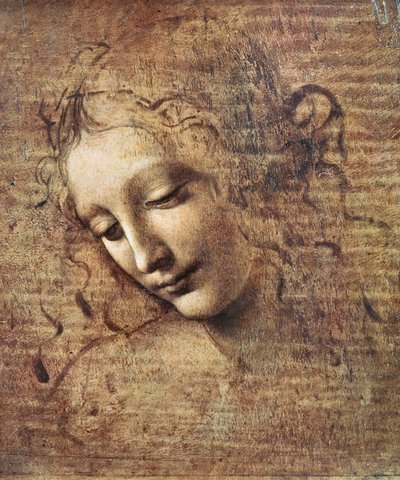 乱れた髪の若い女性の頭、またはレダ（木のガッシュ） 作： Leonardo da Vinci