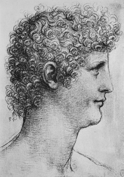 右の横顔の青年の頭、c1480 1945 作： Leonardo da Vinci