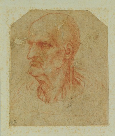 ひげのない老人の頭、左のプロファイル（紙に赤いチョーク） 作： Leonardo da Vinci