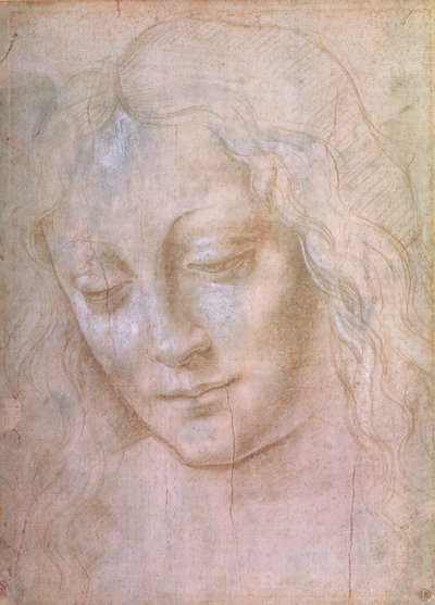 女性の頭（ガッシュで金属の先端を高くしたもの） 作： Leonardo da Vinci