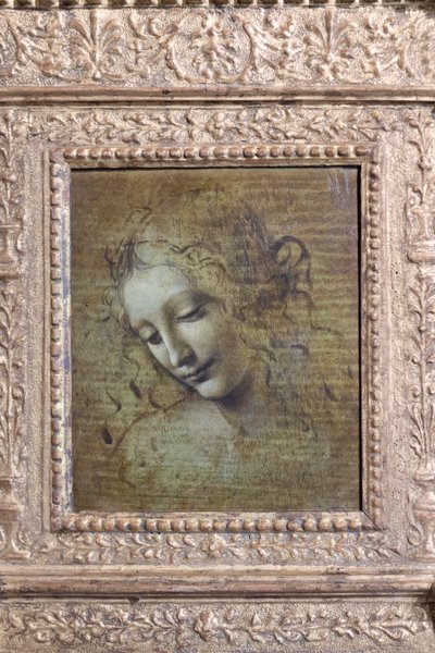 ラ・スカピリアータと呼ばれる女性の頭部 1492-1501年頃 パネルに油彩 作： Leonardo da Vinci