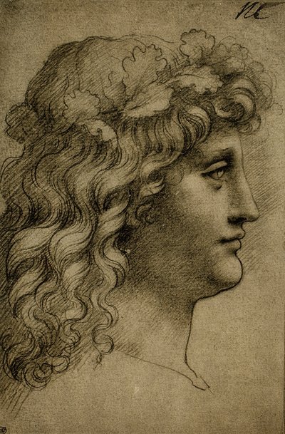 若い男の頭;レオナルド・ダ・ヴィンチの絵。ルーブル美術館、パリ 作： Leonardo da Vinci