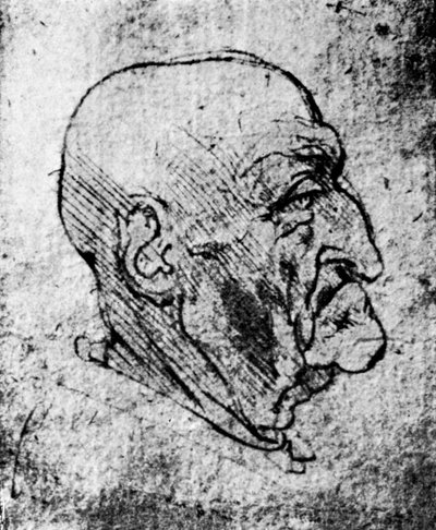 老人の頭、1913 作： Leonardo da Vinci