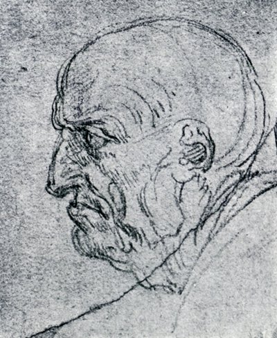老人の頭、1913 作： Leonardo da Vinci