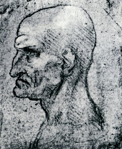 老人の頭、1913 作： Leonardo da Vinci
