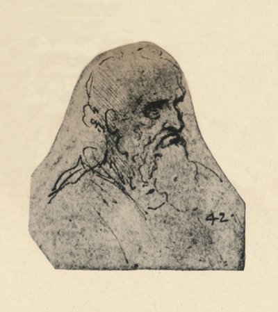 右を向いた老人の頭、c1480 1945 作： Leonardo da Vinci