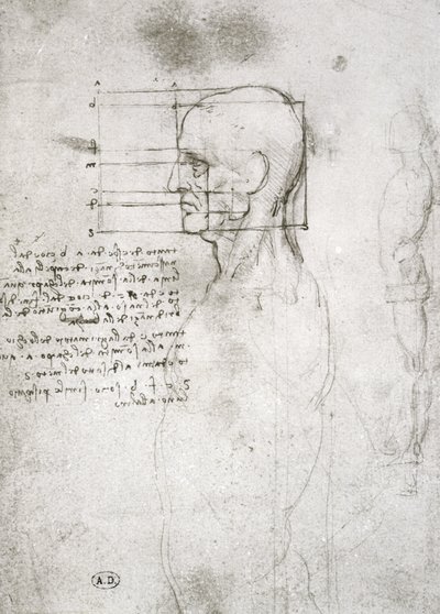 横顔の老人の頭、ファクシミリコピー（紙にペンとインク） 作： Leonardo da Vinci