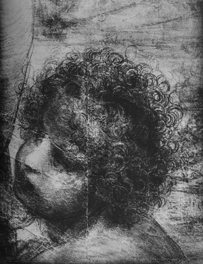 乳幼児の聖ヨハネの頭-聖アンと乳幼児の聖ヨハネとの聖母子、c1480 1945 作： Leonardo da Vinci