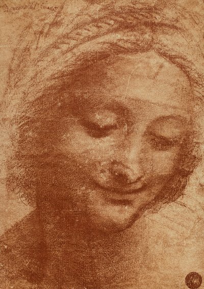 レオナルドダヴィンチが描いた女性またはサンタナの頭は、ルーヴル美術館に現在いる聖アンナの頭とマドンナを子供と一緒に描いています。デザインはギャラリーdellAに収容されています 作： Leonardo da Vinci