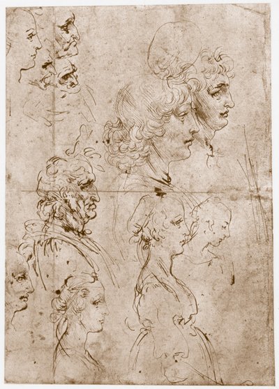 少女の頭、若者と老人、1478-1480 作： Leonardo da Vinci
