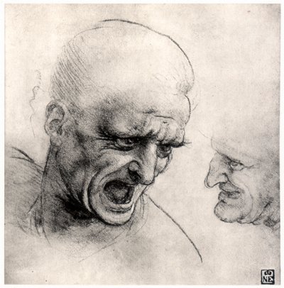 戦士の長、1503-1505 作： Leonardo da Vinci