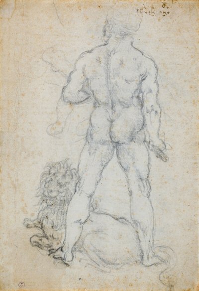 ヘラクレスとネメアのライオンc。 1506-08（白い紙に木炭と金属の先端） 作： Leonardo da Vinci