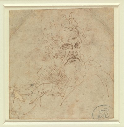  作： Leonardo da Vinci