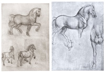 馬、c1490-1510 作： Leonardo da Vinci