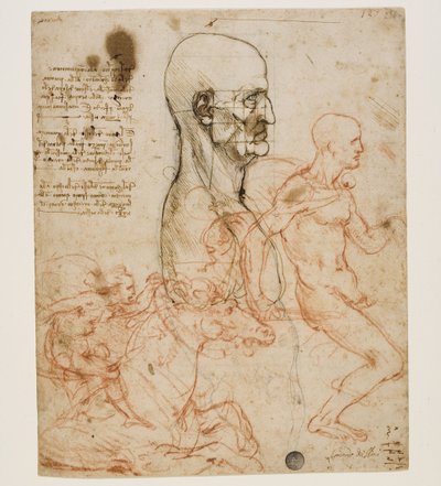 プロポーションの研究によるプロファイルの人間の胸像c。 1490-1499。 作： Leonardo da Vinci